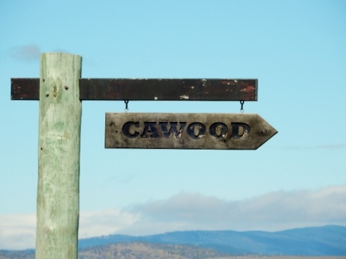 Cawood Sign